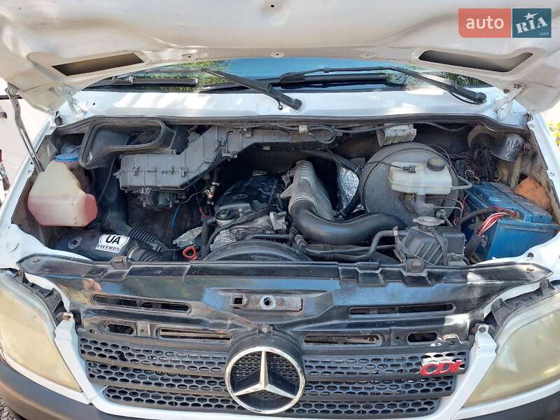 Вантажний фургон Mercedes-Benz Sprinter 2005 в Вінниці