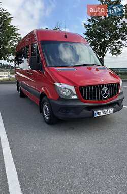 Вантажопасажирський фургон Mercedes-Benz Sprinter 2014 в 