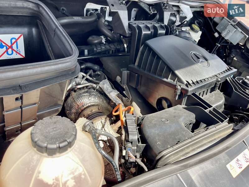 Рефрижератор Mercedes-Benz Sprinter 2020 в Рівному фото 20 Рефрижератор Mercedes-Benz Sprinter 2020 в Рівному