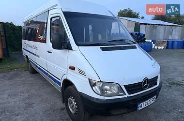 Микроавтобус Mercedes-Benz Sprinter 2002 в 