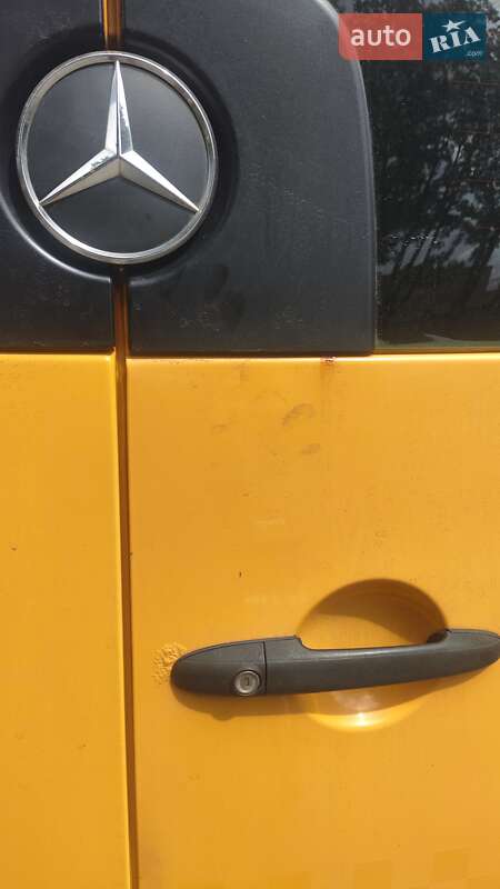 Микроавтобус Mercedes-Benz Sprinter 2010 в Костополе