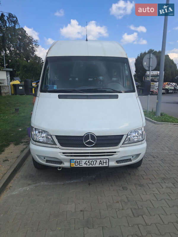 Грузовой фургон Mercedes-Benz Sprinter 2004 в Вознесенске