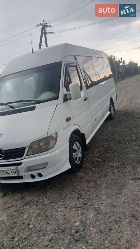 Мікроавтобус Mercedes-Benz Sprinter 2002 в 