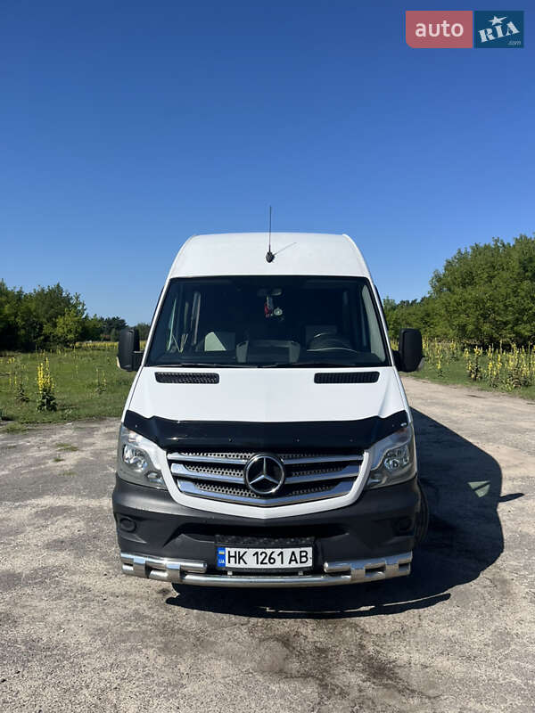 Микроавтобус Mercedes-Benz Sprinter 2010 в Березному