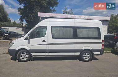 Микроавтобус Mercedes-Benz Sprinter 2010 в Киеве