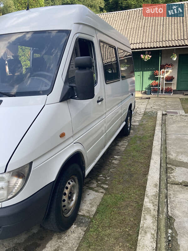 Мікроавтобус Mercedes-Benz Sprinter 2002 в Ужгороді