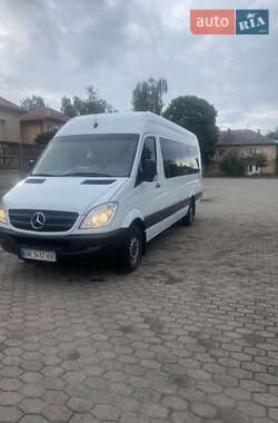 Микроавтобус Mercedes-Benz Sprinter 2009 в 