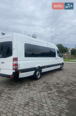 Микроавтобус Mercedes-Benz Sprinter 2009 в 