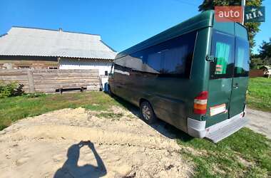 Другие автобусы Mercedes-Benz Sprinter 2002 в 