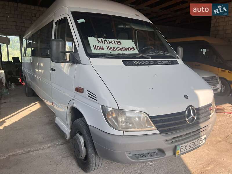 Другие автобусы Mercedes-Benz Sprinter 2003 в 
