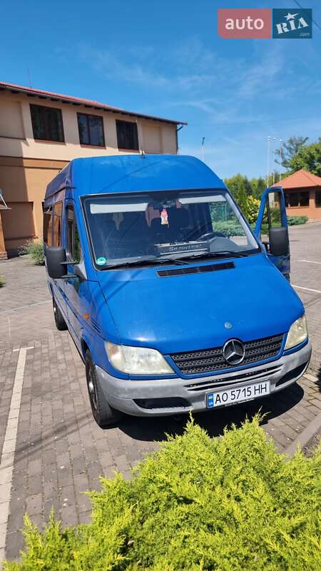Микроавтобус Mercedes-Benz Sprinter 2002 в Берегово