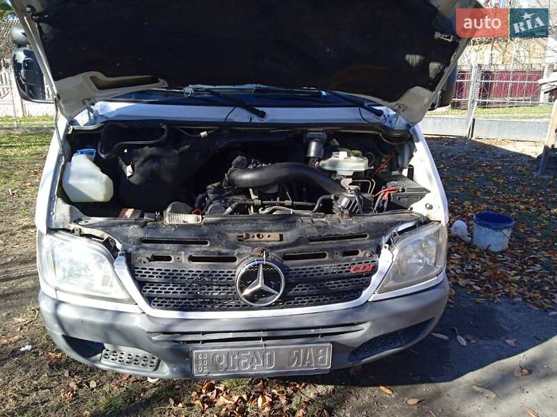 Микроавтобус Mercedes-Benz Sprinter 2006 в Вижнице