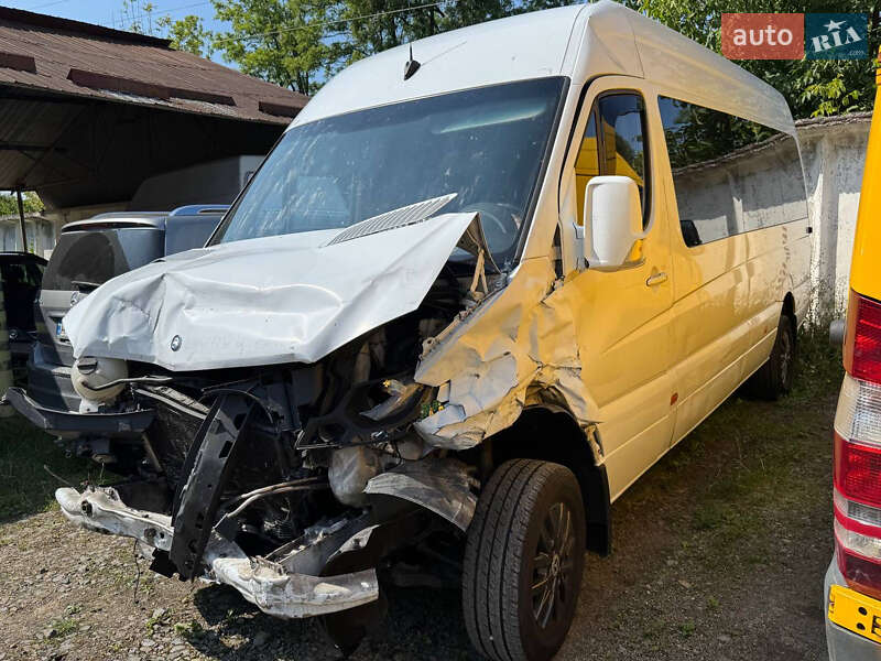 Грузопассажирский фургон Mercedes-Benz Sprinter 2014 в Стрые