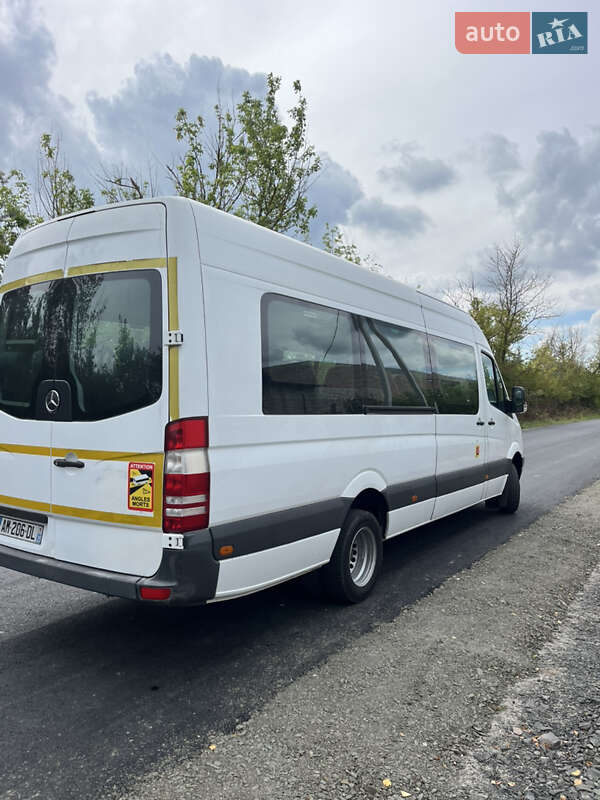 Пригородный автобус Mercedes-Benz Sprinter 2009 в Ковеле