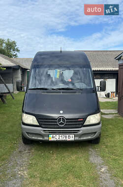 Мікроавтобус Mercedes-Benz Sprinter 2006 в Камені-Каширському