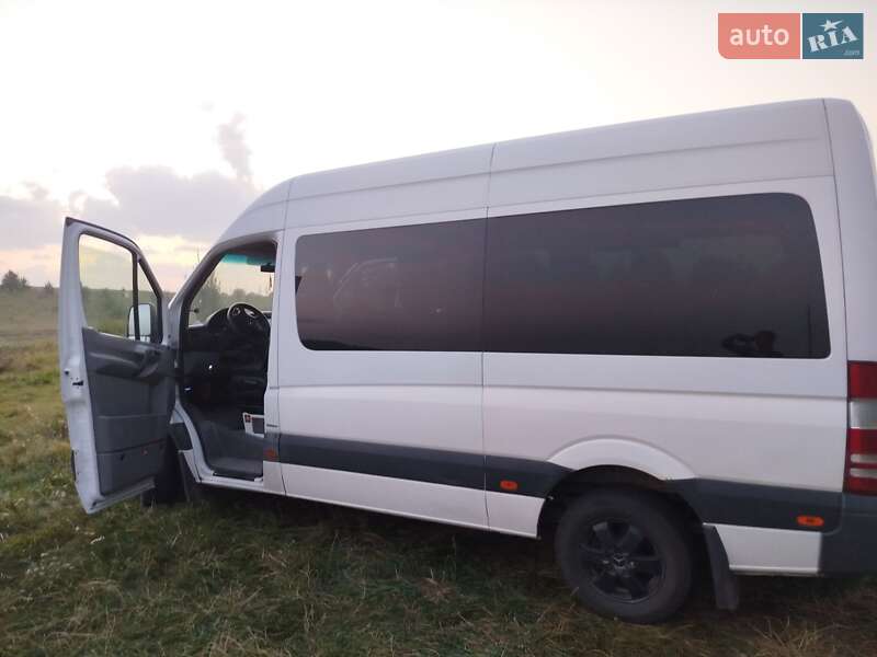 Микроавтобус Mercedes-Benz Sprinter 2013 в Калиновке