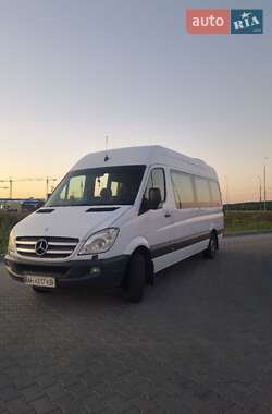 Микроавтобус Mercedes-Benz Sprinter 2010 в Ирпене