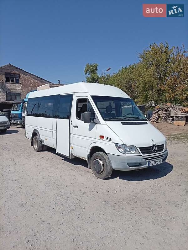 Мікроавтобус Mercedes-Benz Sprinter 2004 в Дніпрі