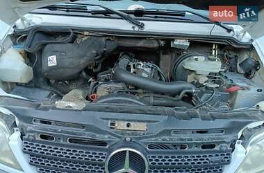 Грузопассажирский фургон Mercedes-Benz Sprinter 2006 в 
