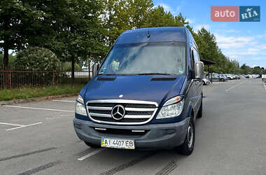 Грузовой фургон Mercedes-Benz Sprinter 2009 в Киеве