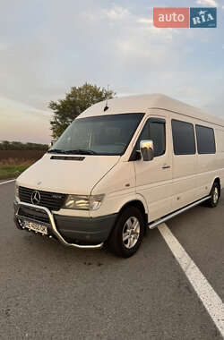 Микроавтобус Mercedes-Benz Sprinter 1996 в Павлограде