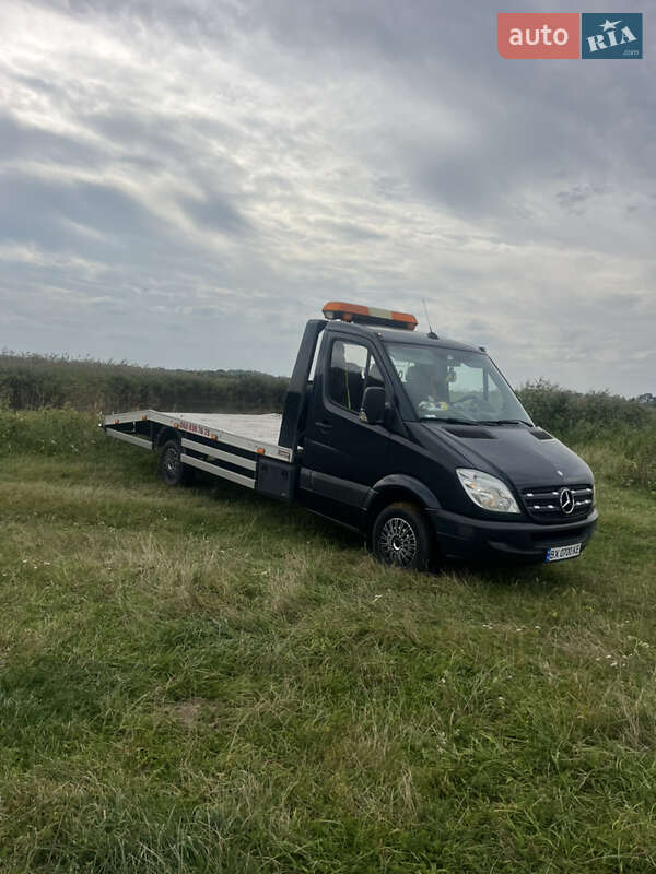 Другие грузовики Mercedes-Benz Sprinter 2011 в Любаре