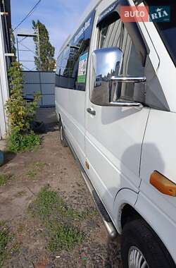 Микроавтобус Mercedes-Benz Sprinter 2001 в 