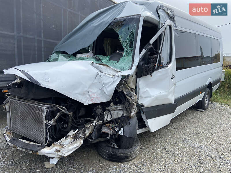 Микроавтобус Mercedes-Benz Sprinter 2014 в 