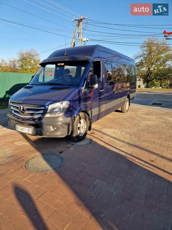 Микроавтобус Mercedes-Benz Sprinter 2009 в Тячеве