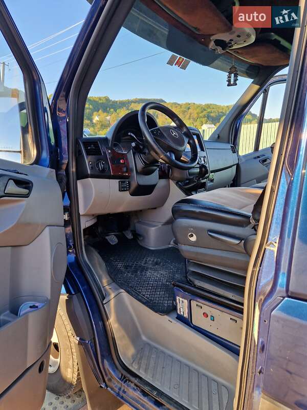 Микроавтобус Mercedes-Benz Sprinter 2009 в Тячеве