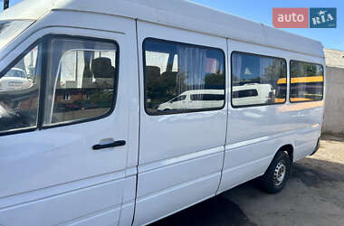Микроавтобус Mercedes-Benz Sprinter 1997 в 