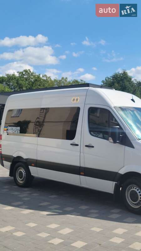 Мікроавтобус Mercedes-Benz Sprinter 2009 в Бучачі
