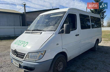 Грузопассажирский фургон Mercedes-Benz Sprinter 2003 в 