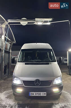 Грузопассажирский фургон Mercedes-Benz Sprinter 2006 в 