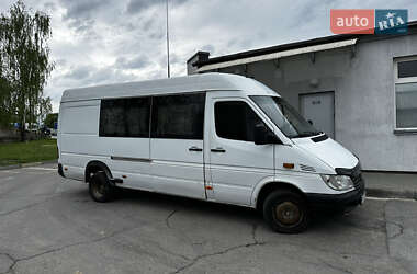 Грузопассажирский фургон Mercedes-Benz Sprinter 2002 в Виннице
