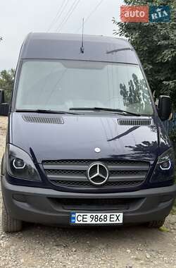 Вантажопасажирський фургон Mercedes-Benz Sprinter 2007 в Чернівцях