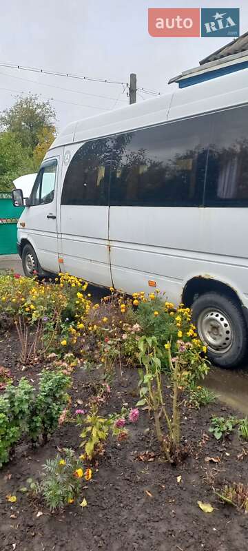Пригородный автобус Mercedes-Benz Sprinter 2001 в Корсуне-Шевченковском