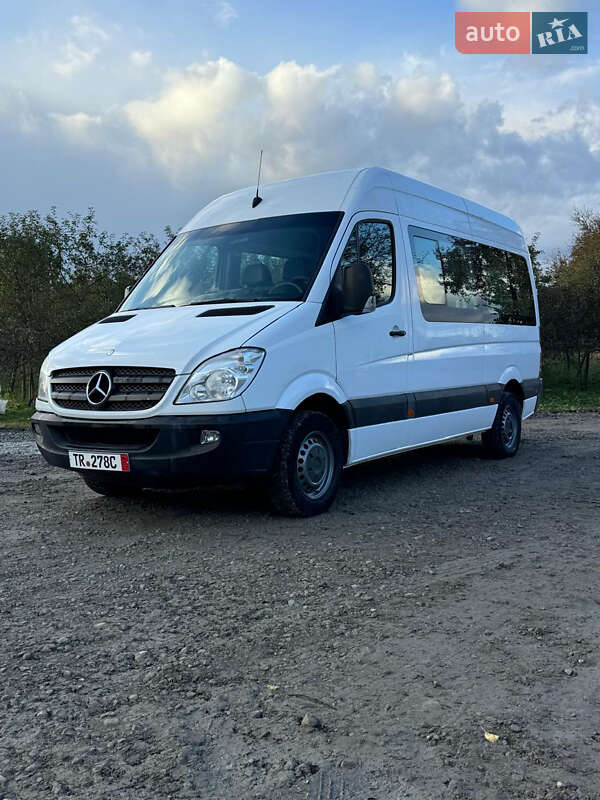 Грузопассажирский фургон Mercedes-Benz Sprinter 2010 в Недобоевцах фото 15 Грузопассажирский фургон Mercedes-Benz Sprinter 2010 в Недобоевцах