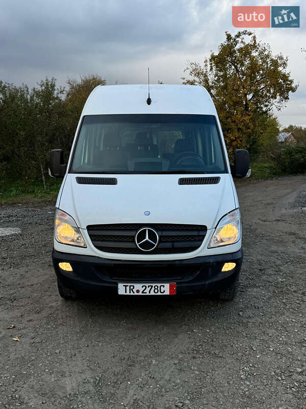 Грузопассажирский фургон Mercedes-Benz Sprinter 2010 в Недобоевцах фото 46 Грузопассажирский фургон Mercedes-Benz Sprinter 2010 в Недобоевцах