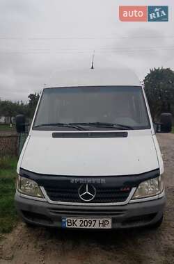 Микроавтобус Mercedes-Benz Sprinter 2006 в 