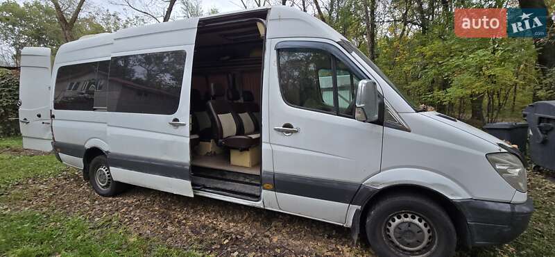 Микроавтобус Mercedes-Benz Sprinter 2010 в Киеве