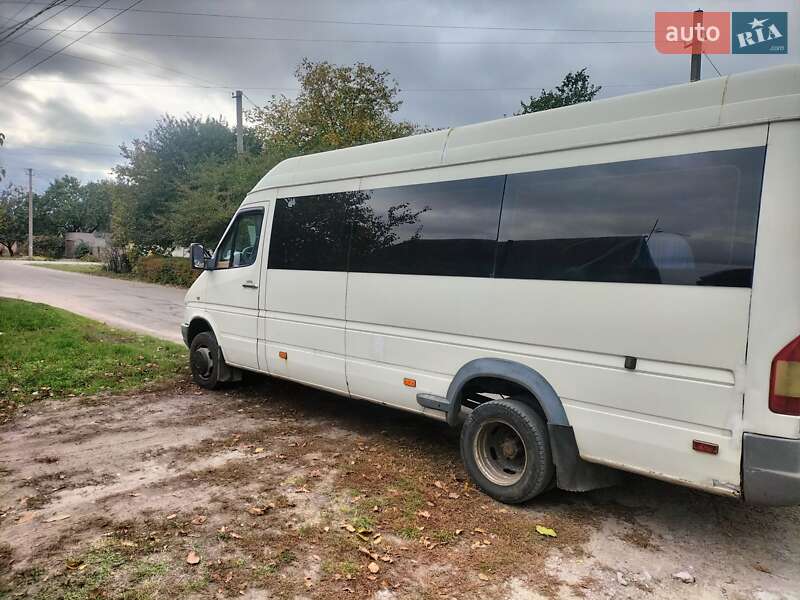 Мікроавтобус Mercedes-Benz Sprinter 1998 в Кам'янському фото 10 Мікроавтобус Mercedes-Benz Sprinter 1998 в Кам'янському
