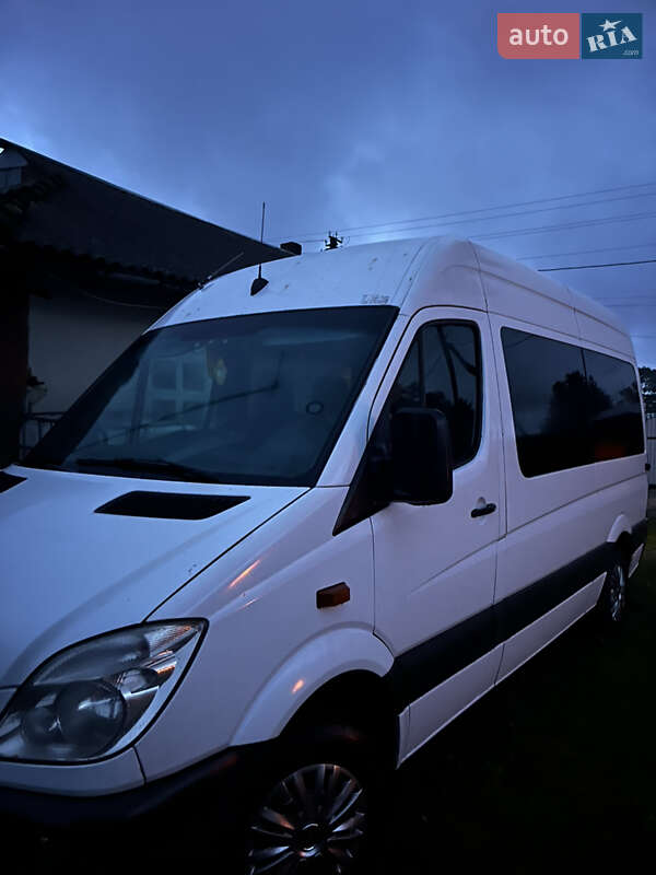 Микроавтобус Mercedes-Benz Sprinter 2012 в Городенке