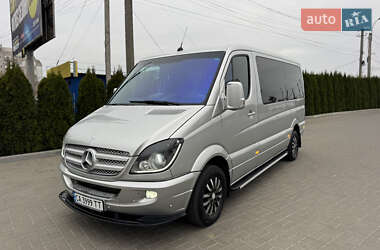 Минивэн Mercedes-Benz Sprinter 2009 в Черкассах