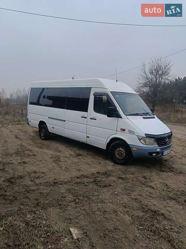 Мікроавтобус Mercedes-Benz Sprinter 2001 в Бородянці