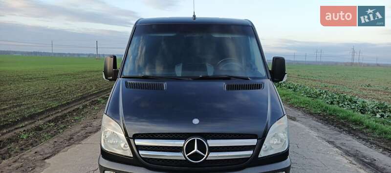 Вантажний фургон Mercedes-Benz Sprinter 2012 в Нікополі