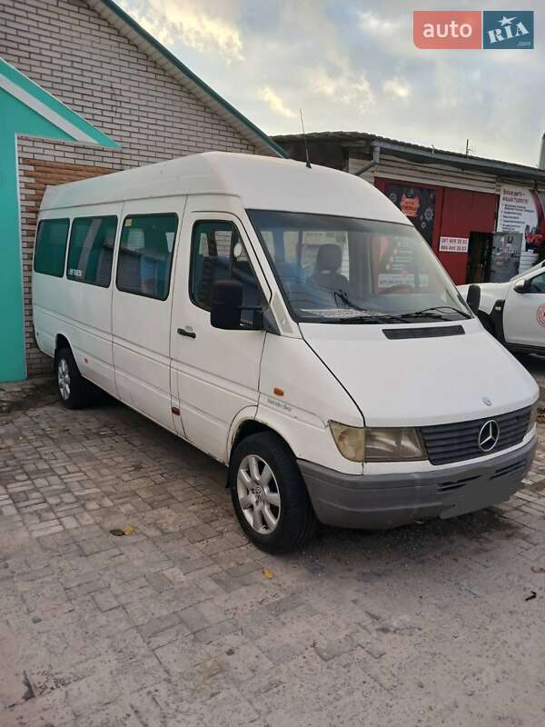 Другие автобусы Mercedes-Benz Sprinter 1999 в Николаеве