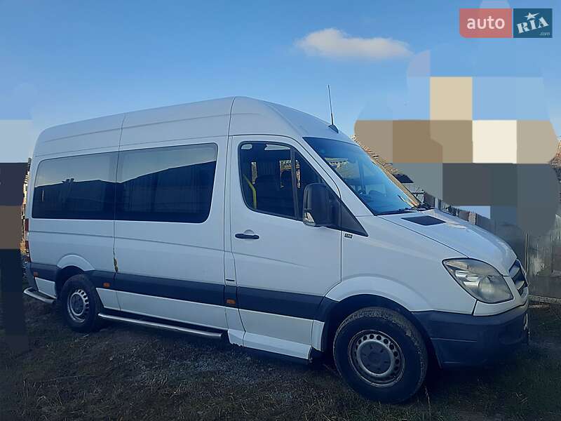 Минивэн Mercedes-Benz Sprinter 2012 в Лубнах