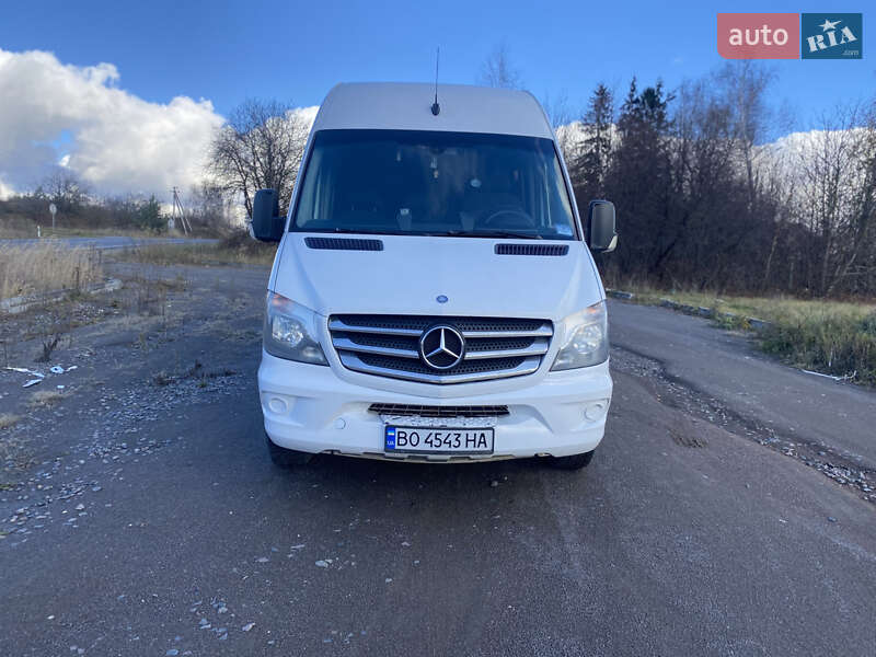 Мікроавтобус Mercedes-Benz Sprinter 2014 в Кременці