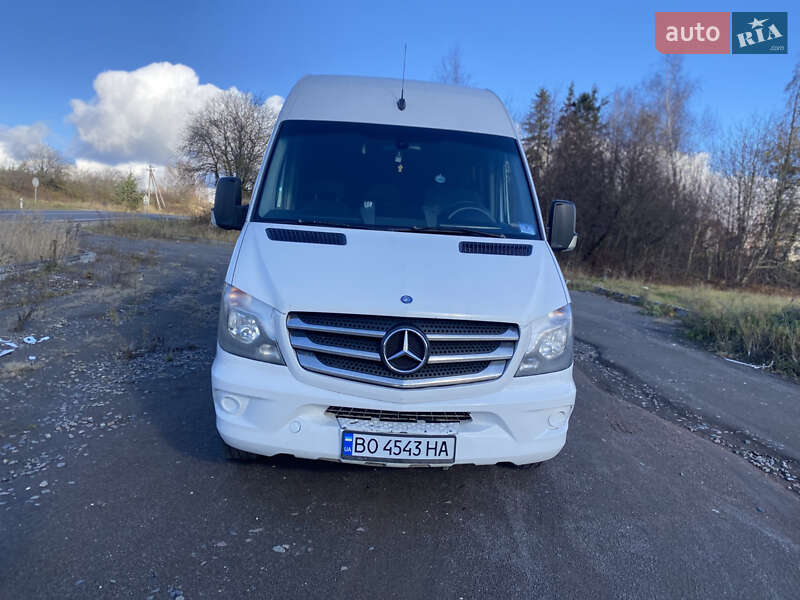 Мікроавтобус Mercedes-Benz Sprinter 2014 в Кременці